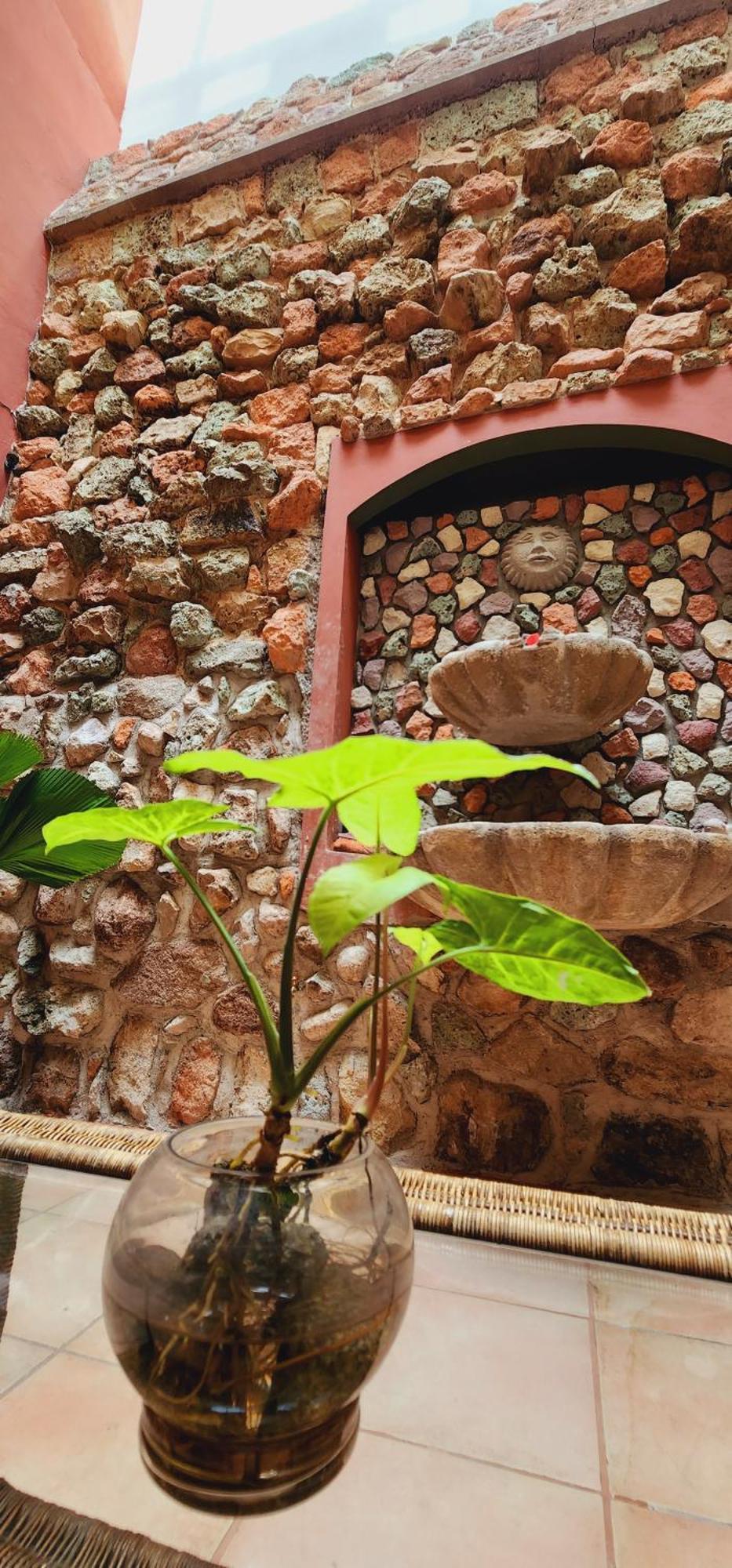 Hotel Alsacia Tegucigalpa Eksteriør billede